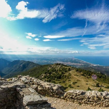 Mas Paret Studio Plein Sud - Parc 1 Ha Au Calme Argelès-sur-Mer Εξωτερικό φωτογραφία