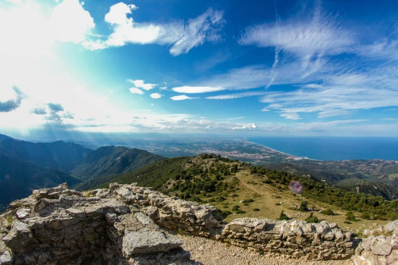 Mas Paret Studio Plein Sud - Parc 1 Ha Au Calme Argelès-sur-Mer Εξωτερικό φωτογραφία