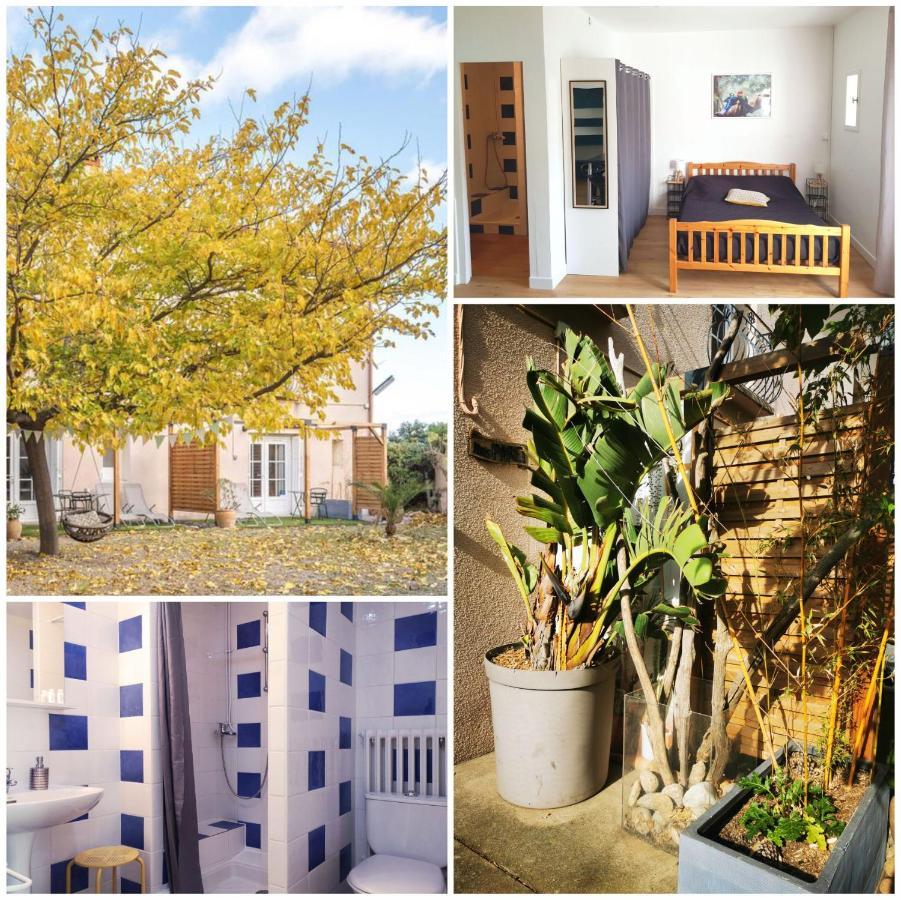 Mas Paret Studio Plein Sud - Parc 1 Ha Au Calme Argelès-sur-Mer Εξωτερικό φωτογραφία