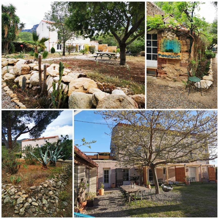 Mas Paret Studio Plein Sud - Parc 1 Ha Au Calme Argelès-sur-Mer Εξωτερικό φωτογραφία